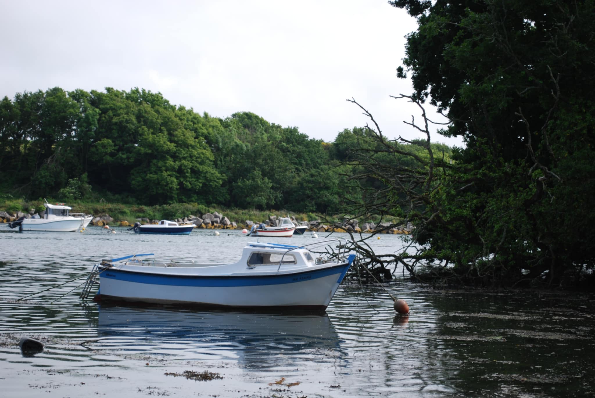 Paysage breton impressionnant avec une automobile élégante au premier plan